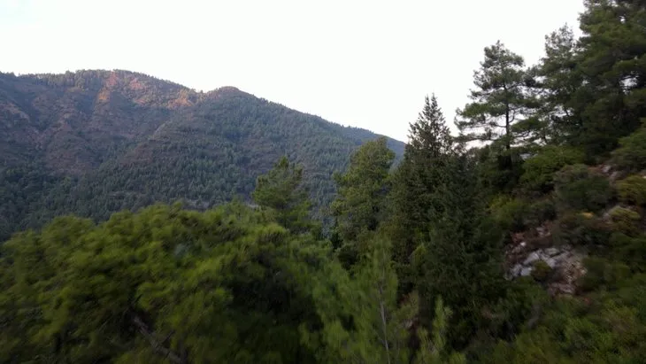 Marmaris’in yemyeşil doğası küle döndü! İşte yürek yakan manzara