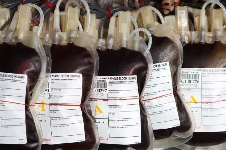 Hangi kan grubu nasıl beslenmeli? İşte milyonları ilgilendiren liste 🩸 Kan grubunuza göre bu besinleri tüketin
