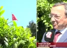 Tüm dünyaya yetecek çayımız var