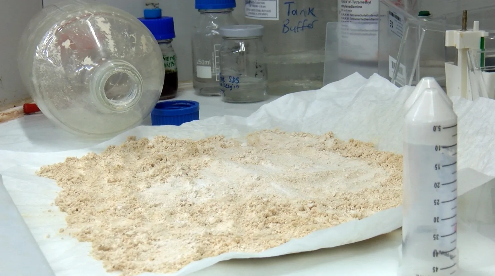 Hayvan yeminden insan tüketimine: Fındık posasından yeni nesil protein