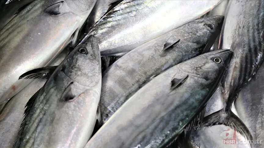 Sezonu açıldı: Hangi ayda hangi balık yenir? Ekim ayında yenilmesi gereken balıklar 6