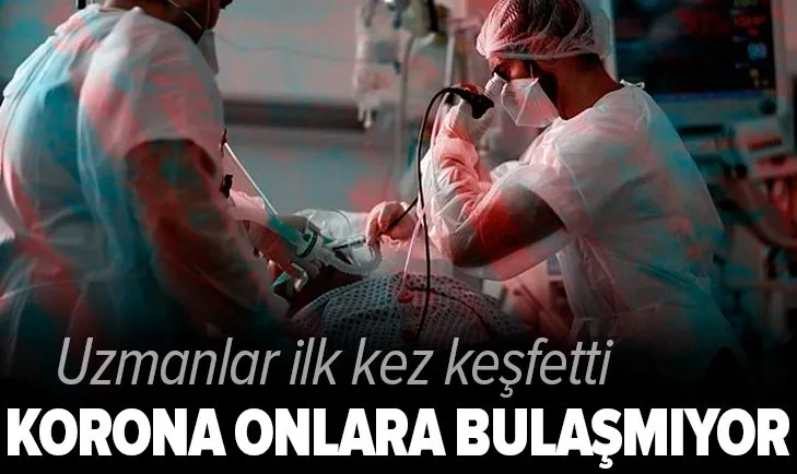 Koronavirüs onları etkilemiyor! Şanslı grup ilk kez keşfedildi