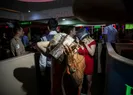 500 polisle baskın! Hepsi yakalandı