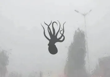 Çin'de fırtına şoke etti