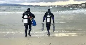 Marmara’nın son umudu pinalar!