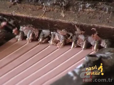 Kurşun kalem nasıl yapılır? 14