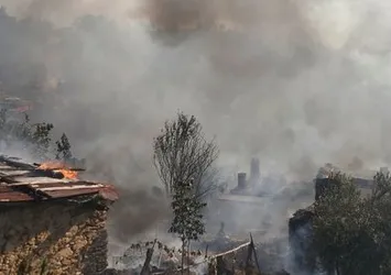 Muğla'da orman yangını
