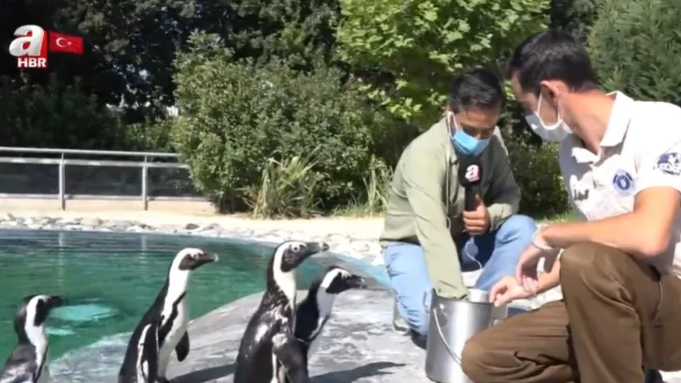 Bursa’da hayvanat bahçesinin yeni üyeleri