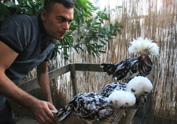 Akıllara ‘altın tavuk’ hikayesini getiriyor! Yumurtaları Türkiye’de 80, yurt dışında 150 lira