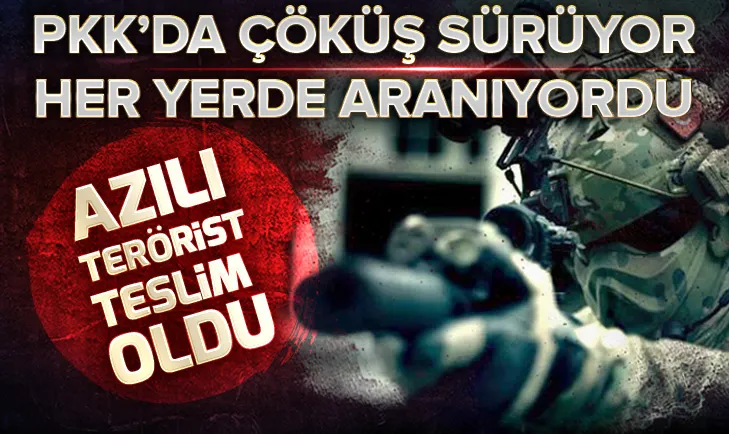 Son dakika: Gri kategoride aranan terörist Rıdvan Ertaş teslim oldu