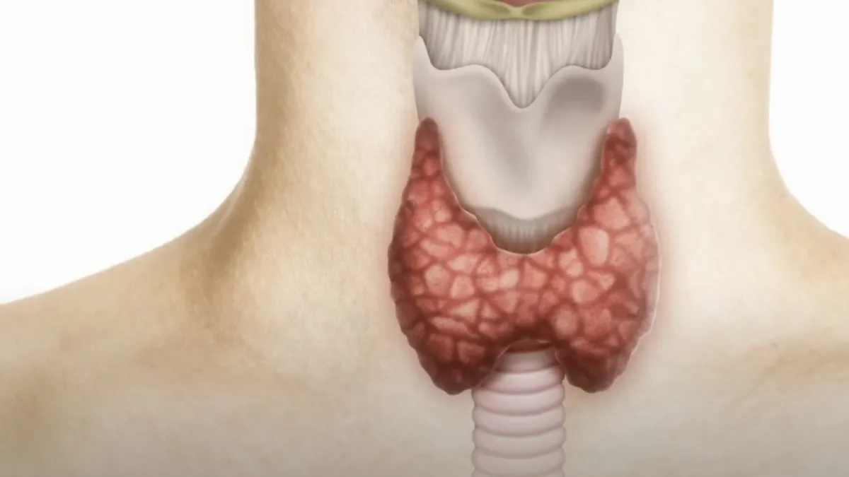 Uzmanından uyarı: "Tiroit bozuklukları enerji dengesini olumsuz etkiliyor"