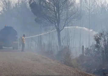 İzmir'deki orman yangınına gözaltı