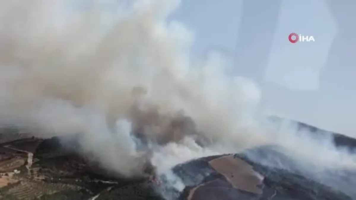Manisa'da orman yangını