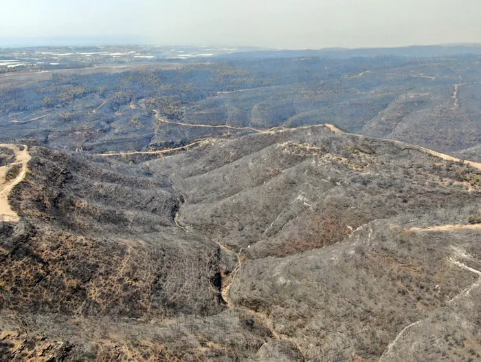Hükümet Manavgat’ı yeniden ayağa kaldırdı! Evler yenilendi doğa yeşillendi