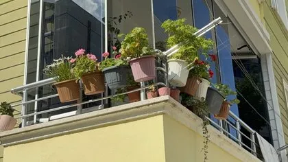 Çiçeklere çamaşır suyu döktü! Uyarılınca baba-oğulu darp etti | O anlar kamerada
