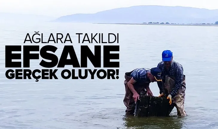 İznik Gölü'nde ağlara 2 bin yıllık kabartmalı yazıt takıldı