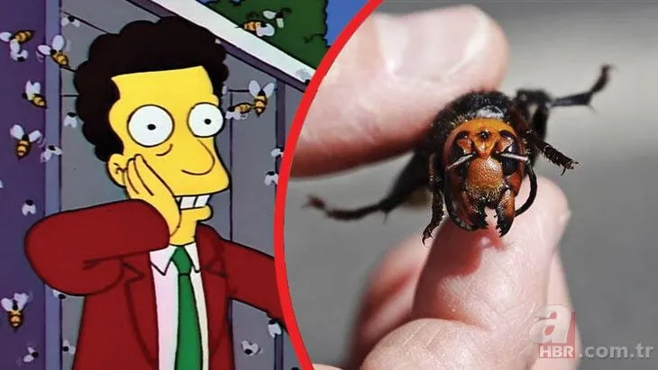 The Simpsons corona virüsün ardından katil arıları da bildi!