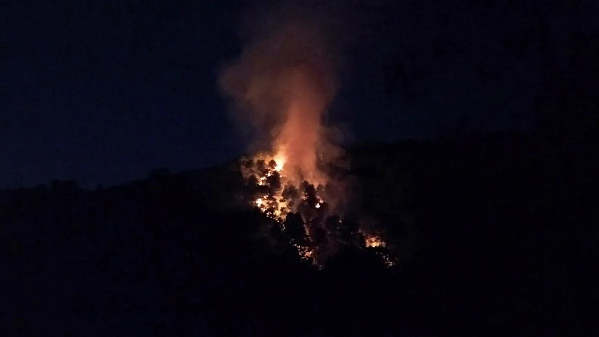 Son dakika: Kartal Aydos Ormanları'nda yangın!