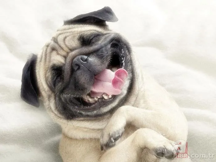 Günün ilginç kareleri 19