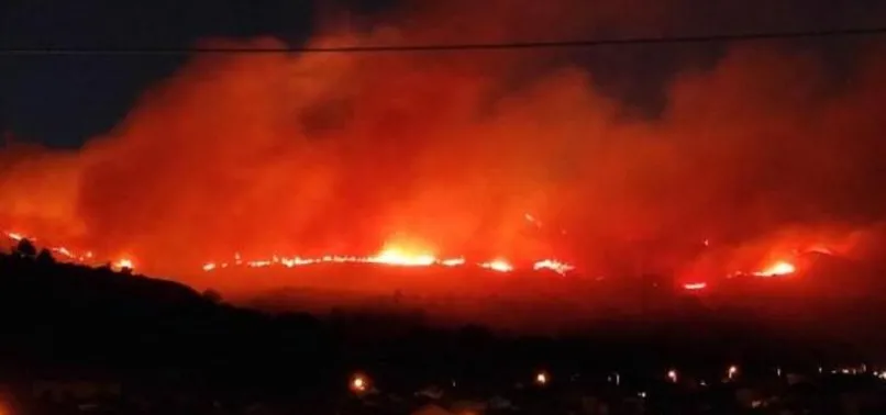Izmir De Yangin 3 Hektar Alan Zarar Gordu Sabotaj Ihtimali