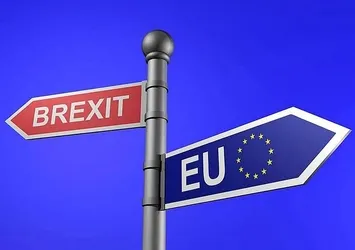 Brexıt'i Müslüman oyu belirleyecek