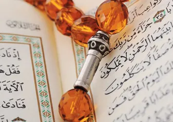 Skandal karar! Dini kitapları yakabilecekler