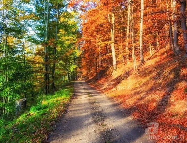 Eski lastikleri toplayıp bakın ne yaptı... 10