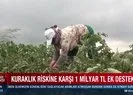 Çiftçiye kuraklık desteği