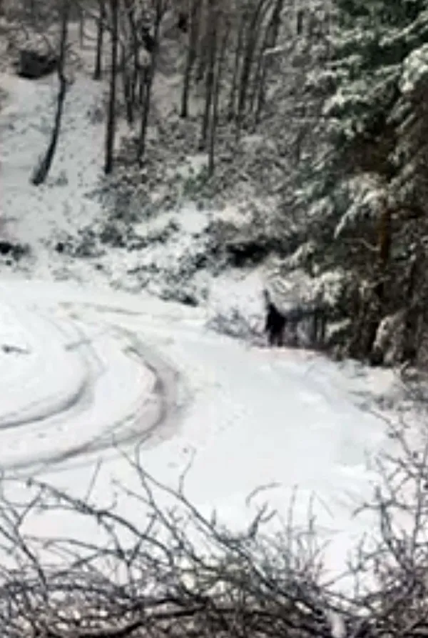 sakaryada-traktoruyle-karli-yolda-drift-yapmaya-kalkisan-adam-olumden-dondu-o-anlar-kamerada-1647845554072.jpg