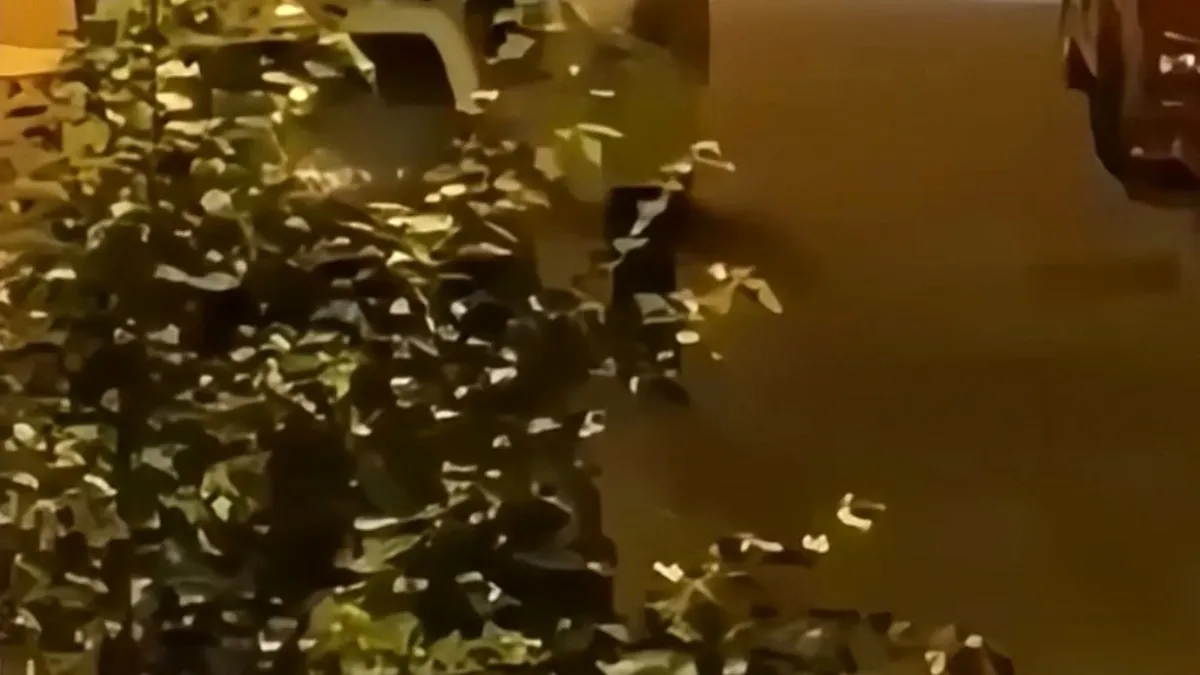 Kağıthane'de dehşet gecesi! "Kafanı keseceğim" dedi: Kılıçlı saldırıda kan aktı - 1
