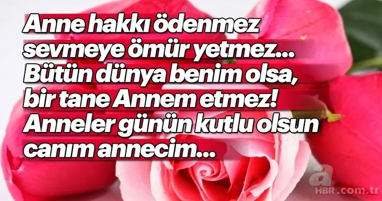 2024 Anneler Günü Şiirleri: Kalbinize Dokunacak En Güzel Seçenekler! Kısa ve Uzun, 1 2 3 4 5 Kıtaya Kadar... 13