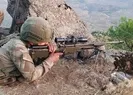 Taciz ateşi PKKlılara darbe!