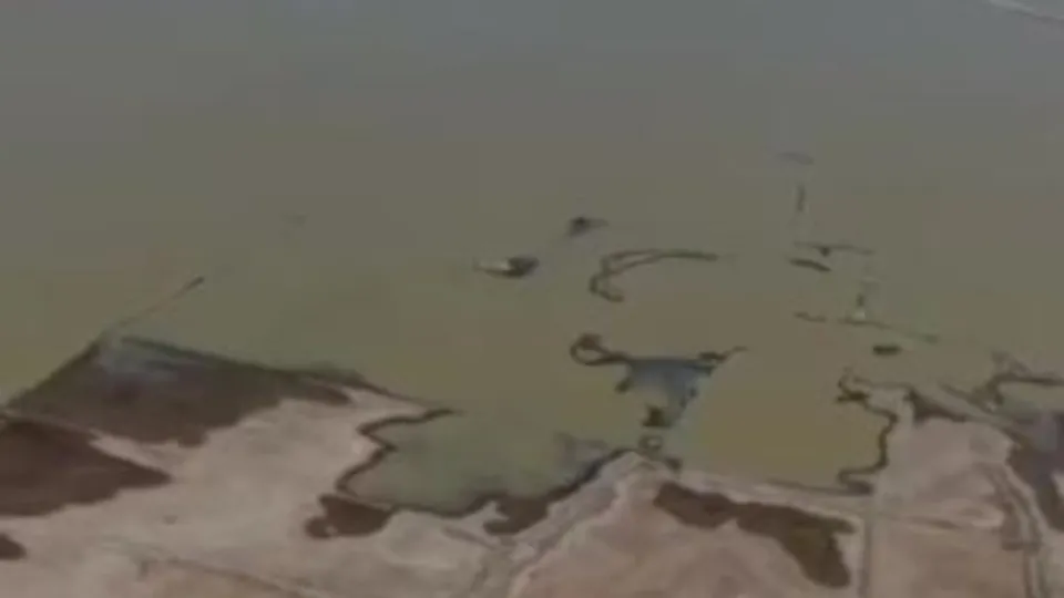 İzmir Çeşme’de susuzluk alarmı