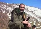 İşte PKK petrolünü satan terörist!