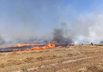 Tekirdağ'da çıkan anız yangını söndürüldü