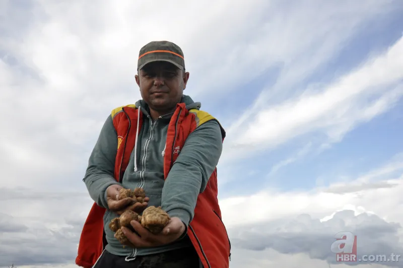 Karaman’da vatandaşlar kilosu 200 lirayı bulan domalan mantarını karış karış arıyor! 1
