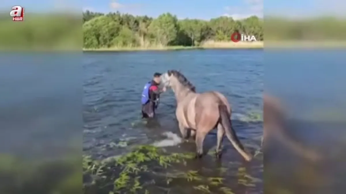 Mahsur kalan atı kurtarma operasyonu