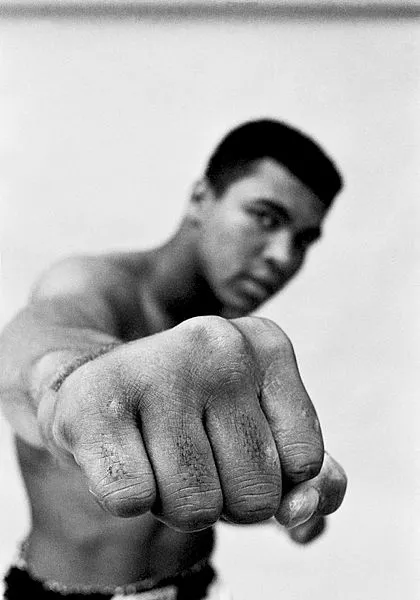 Muhammed Ali’nin çiftliği satılıyor - 2