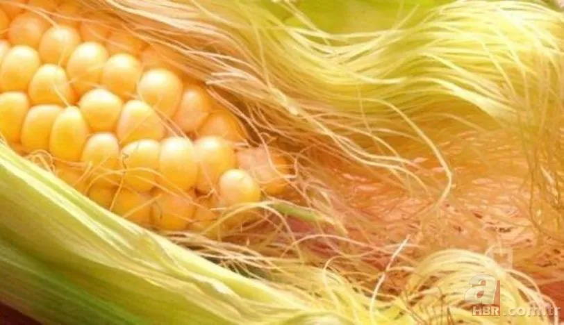 İbrahim Saraçoğlu’ndan doğal şifa reçetesi! İdrar yollarını, ödemi, kolesterolü ne varsa temizliyor! İşte sır gibi saklanan içecek... 8