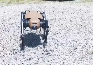 Türkiye’nin ilk askeri robot köpeği