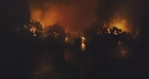 Antalya’da ırmak kenarında yangın paniği!