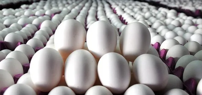 Tavuk yumurtası üretiminde rekor