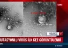 Mutasyonlu virüs ilk kez görüntülendi