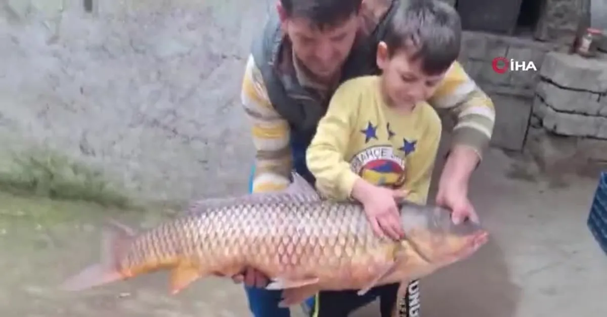 25 kiloluk sarı balık yakaladı