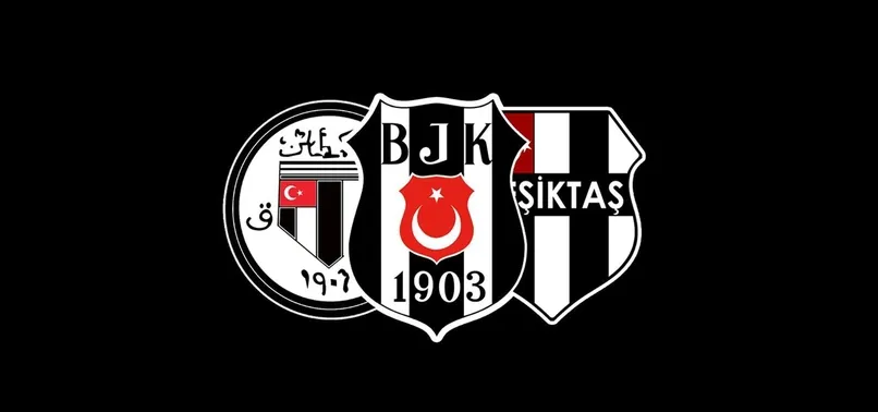 Yalçın Karadeniz disiplin kuruluna sevk edildi