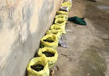 Son dakika: Trabzon'da uyuşturucu operasyonu