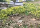 Adana’da mezarlığa gömülmüş 6-7 aylık cenin bulundu