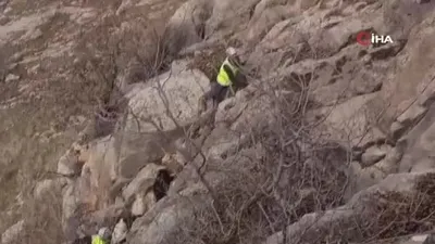 Keçiler TikTok yüzünden mahsur kaldı