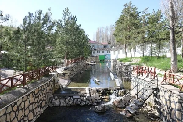 Başkan Erdoğan balıklı göl için imzayı attı! Sivas’ın doktor balıkları sağlık turizmi sağlayacak