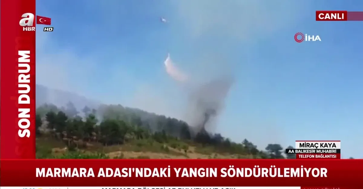 Balıkesir'de orman yangını | Video